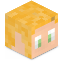 Skin minecraft
