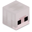 Skin minecraft