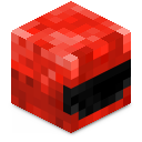 Skin minecraft