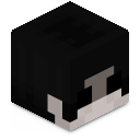 Skin minecraft