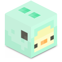 Skin minecraft