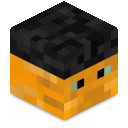 Skin minecraft
