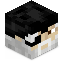 Skin minecraft