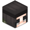 Skin minecraft