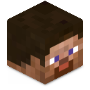 Skin minecraft