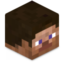 Skin minecraft