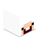 Skin minecraft