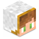 Skin minecraft