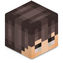 Skin minecraft