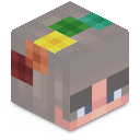 Skin minecraft