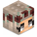 Skin minecraft