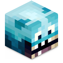 Skin minecraft