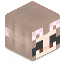 Skin minecraft