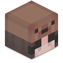 Skin minecraft