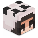 Skin minecraft