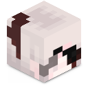 Skin minecraft