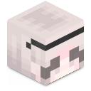 Skin minecraft