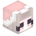 Skin minecraft