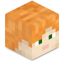 Skin minecraft