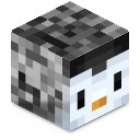 Skin minecraft