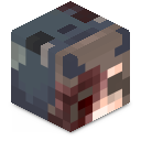 Skin minecraft
