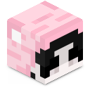Skin minecraft