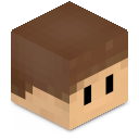 Skin minecraft