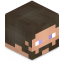Skin minecraft