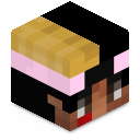 Skin minecraft