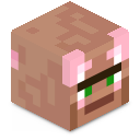 Skin minecraft