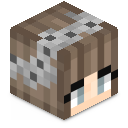 Skin minecraft