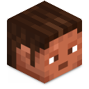 Skin minecraft