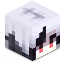 Skin minecraft