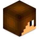 Skin minecraft