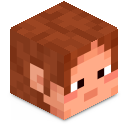 Skin minecraft