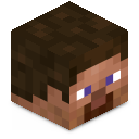 Skin minecraft