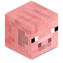 Skin minecraft