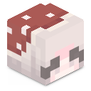 Skin minecraft
