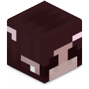 Skin minecraft