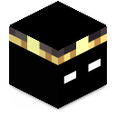 Skin minecraft