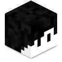 Skin minecraft