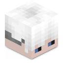Skin minecraft