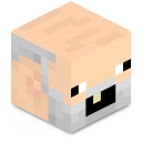 Skin minecraft