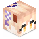 Skin minecraft