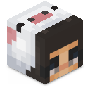 Skin minecraft