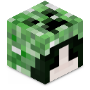 Skin minecraft