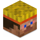 Skin minecraft