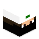 Skin minecraft