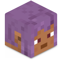 Skin minecraft