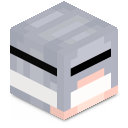 Skin minecraft